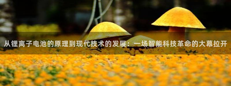 怎么下载k豆钱包