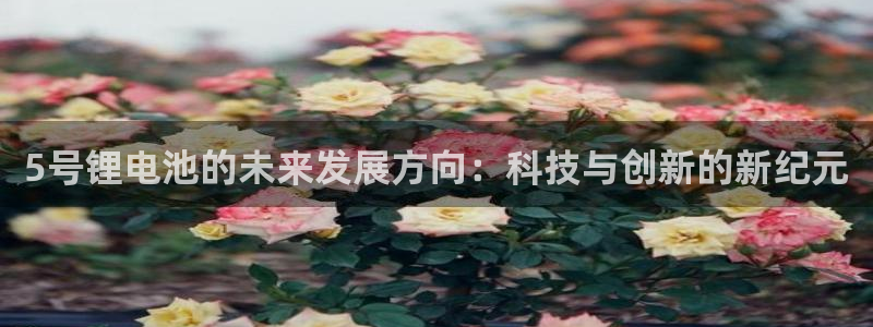 哪里可以下载k豆钱包
