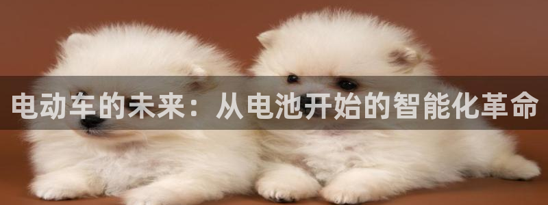 k豆钱包怎么样