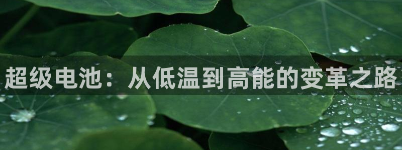 k豆钱包安装