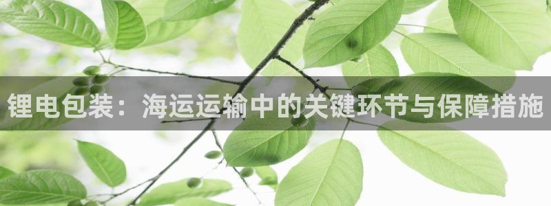 下载k豆钱包并安装