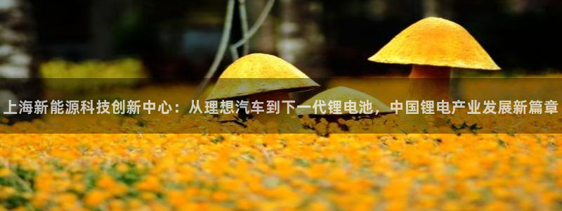 下载k豆钱包并安装