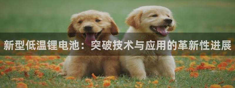 k 豆钱包已经