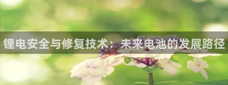 k豆钱包网页