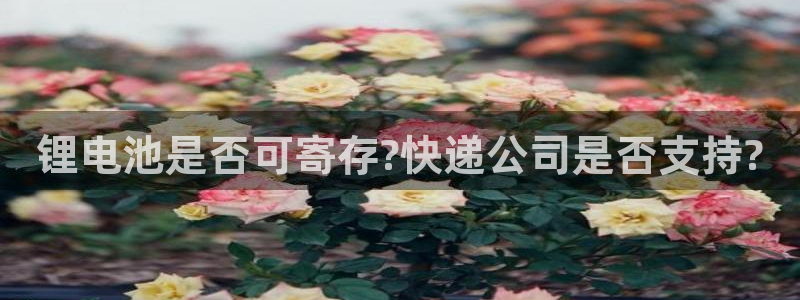 k豆钱包链接