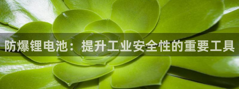 k豆钱包在哪里下载