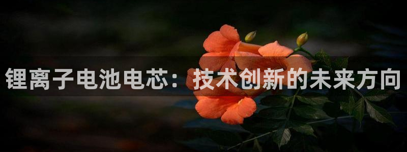 k豆钱包安全可靠吗