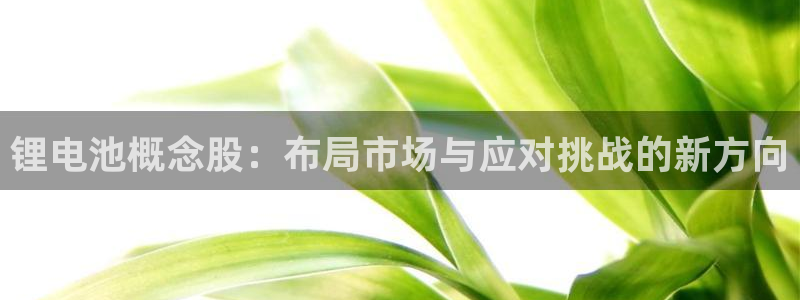 k豆钱包是正规平台吗