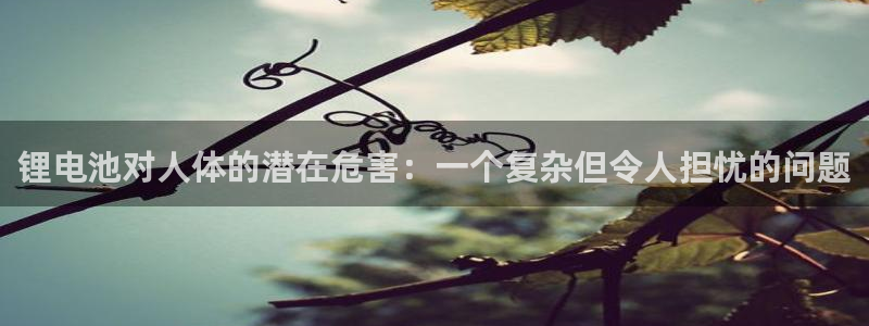 k豆钱包安装包