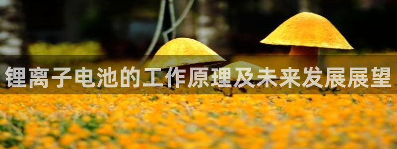 k豆钱包实名认证安不安全