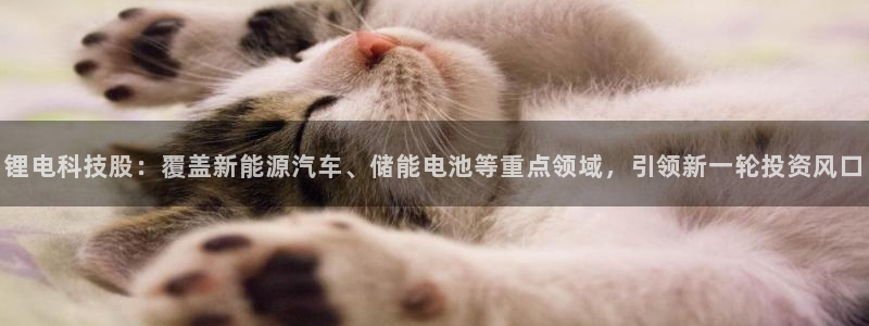 k豆钱包下载不了