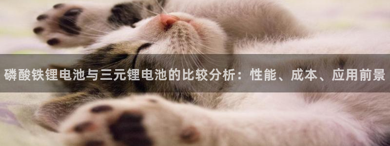 k d豆钱包