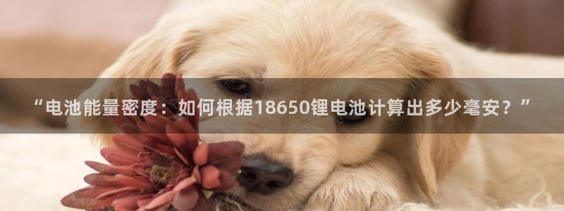 k豆钱包最新下载地址