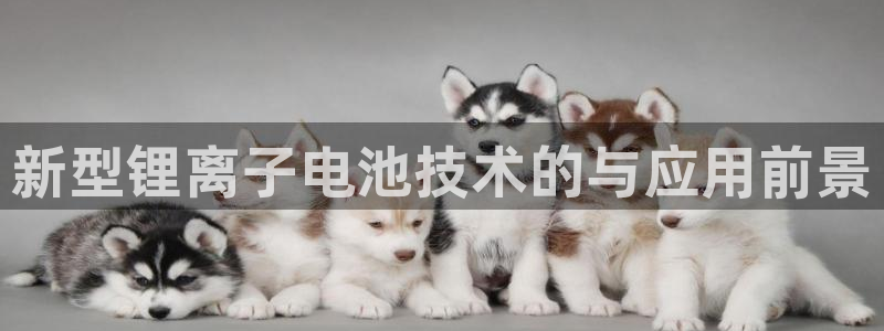 k豆钱包安卓版
