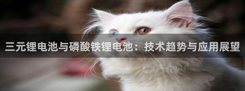 k 豆钱包下载