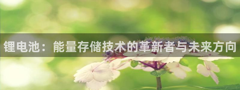 k豆钱包ios下载地址