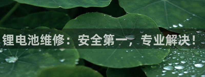 k豆钱包安装