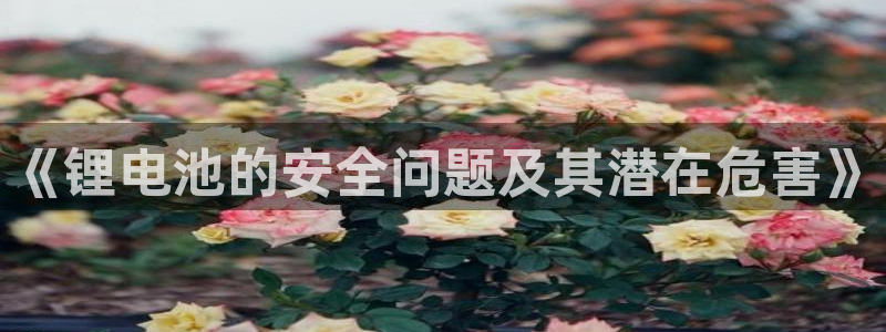 k豆钱包靠谱吗