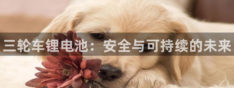 k d豆钱包