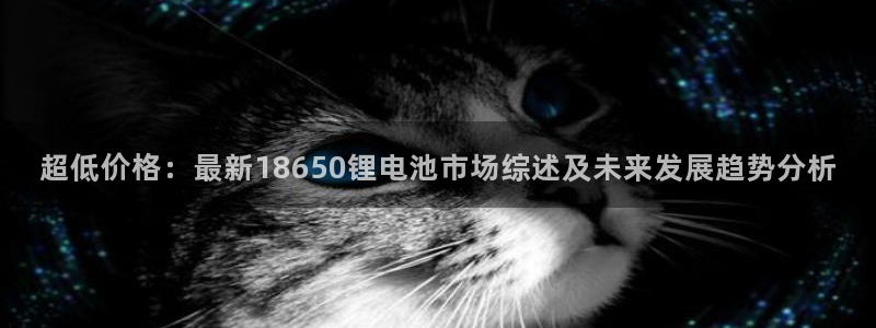 最新k豆钱包