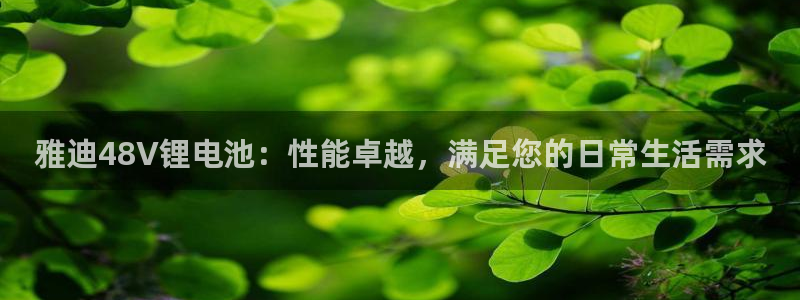 k豆钱包吧