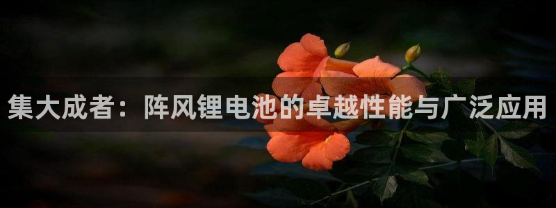 k豆钱包下载：集大成者：阵风锂电池的卓越