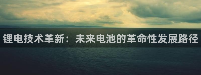 k豆钱包最新版：锂电技术革新：未来电池的