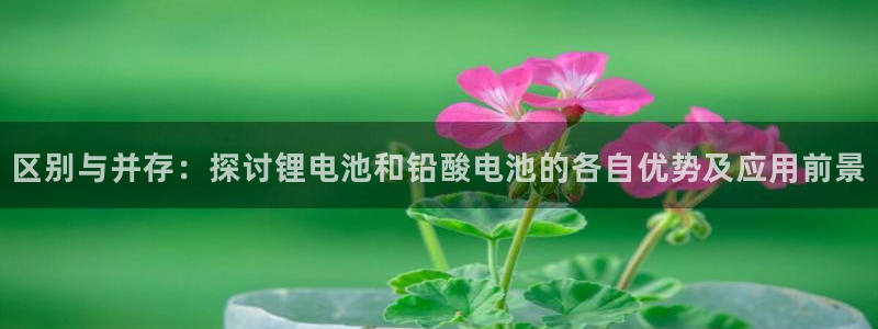 k豆钱包下载官网